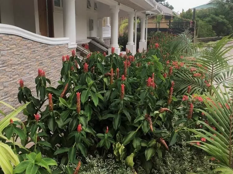 پانسیون Grann Kaz Guest House