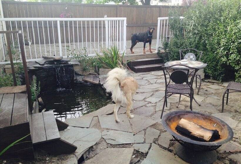 پانسیون Home Sweet Hostel