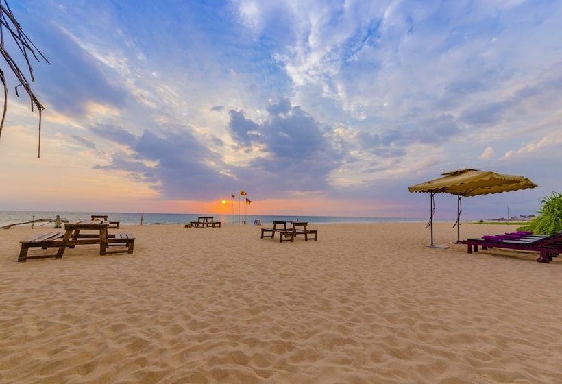 ホテル Jungle Beach Ahungalla