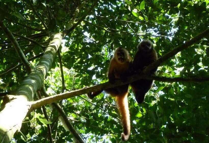 فندق Paradise Amazon Lodge & Adventure