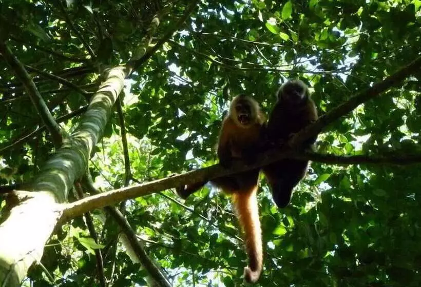 هتل Paradise Amazon Lodge & Adventure