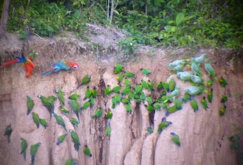 فندق Paradise Amazon Lodge & Adventure