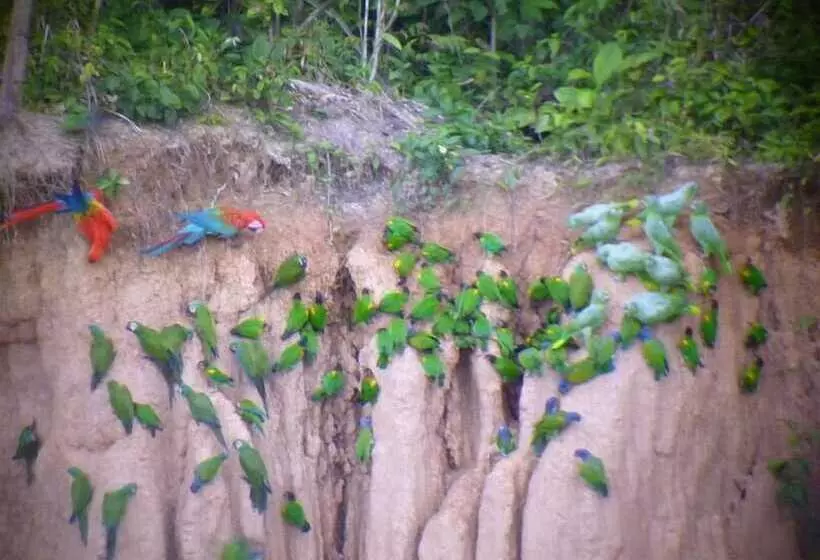 هتل Paradise Amazon Lodge & Adventure