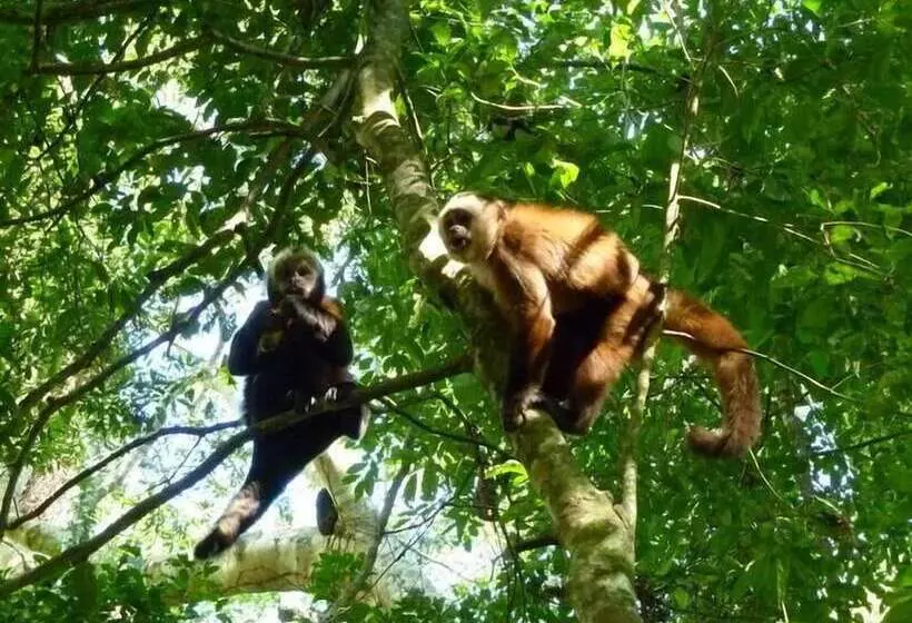 هتل Paradise Amazon Lodge & Adventure