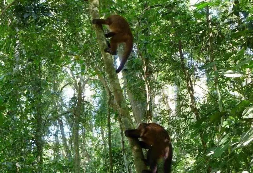 هتل Paradise Amazon Lodge & Adventure