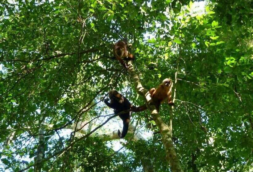 فندق Paradise Amazon Lodge & Adventure