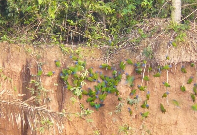 فندق Paradise Amazon Lodge & Adventure