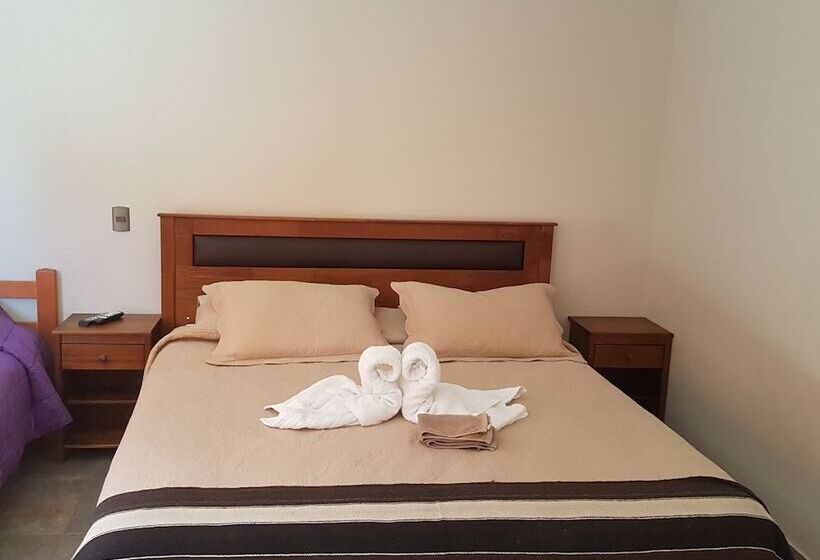 Hotel Vicuña Lodge