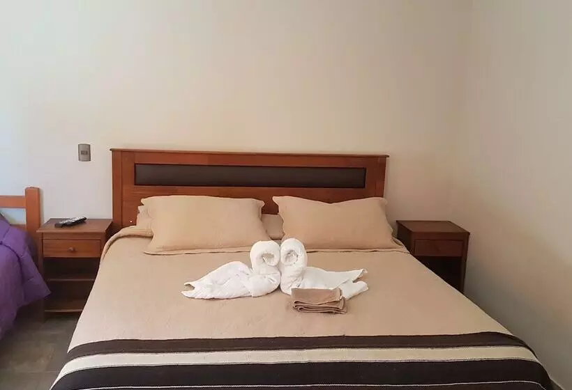 ホテル Vicuña Lodge