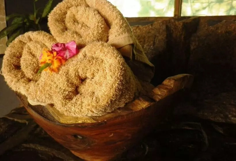 هتل Blue Zebra Island Lodge