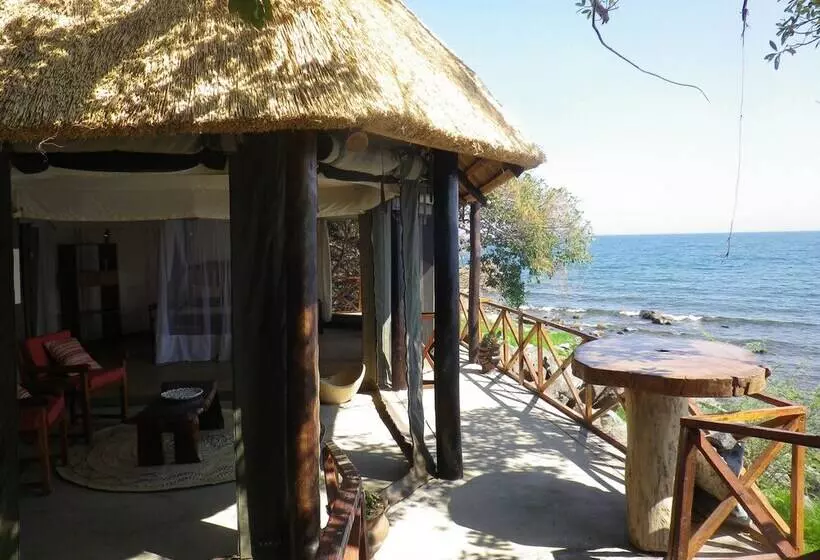 هتل Blue Zebra Island Lodge