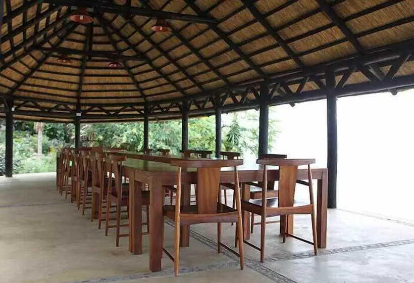 هتل Blue Zebra Island Lodge