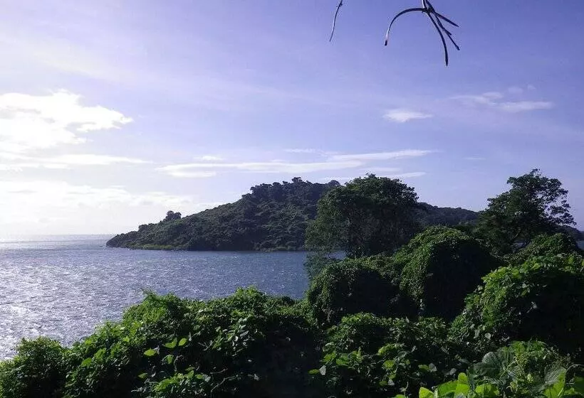 هتل Blue Zebra Island Lodge