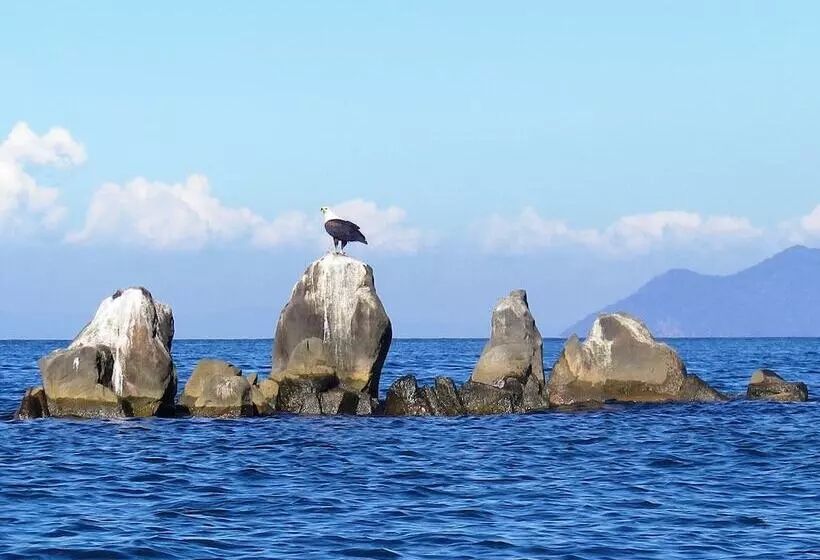 هتل Blue Zebra Island Lodge