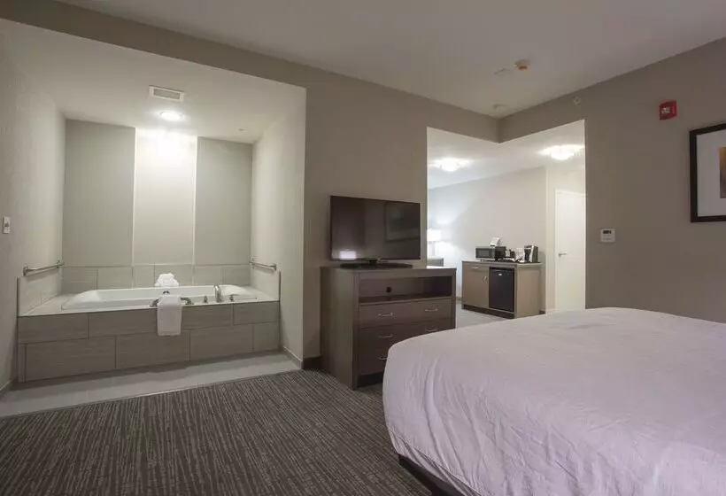 호텔 Hilton Garden Inn Bolingbrook I 55