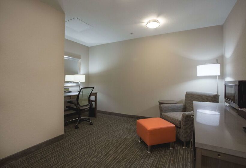 酒店 Hilton Garden Inn Bolingbrook I 55