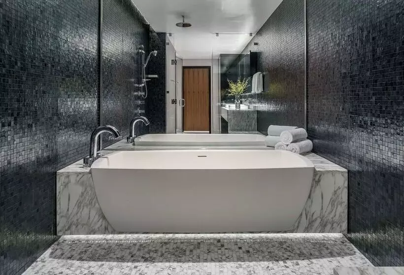 فندق Hyatt Regency Tysons Corner Center