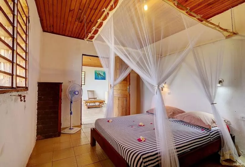 هتل Le Grand Bleu