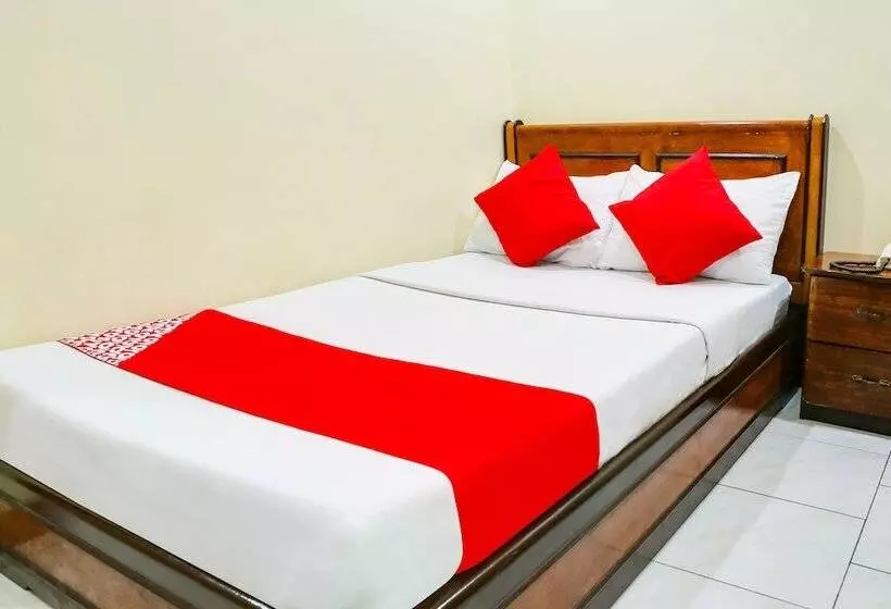 בית מלון כפרי Le Pensione De San Jose