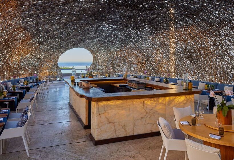 Hotel Viceroy Los Cabos