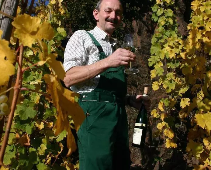 Moselstern Hotel Zum Guten Onkel