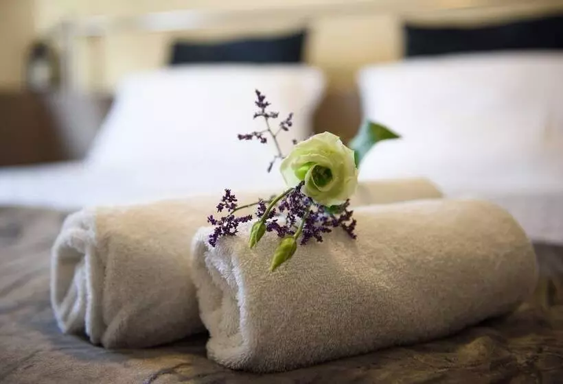 پانسیون Zimmer In Berlin Prenzlauer Berg 4 Neu