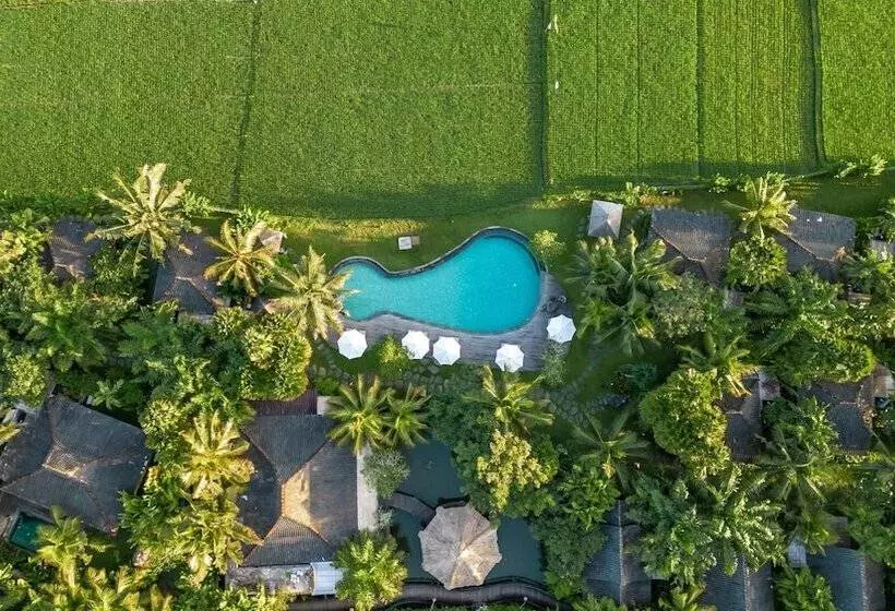Arya Villas Ubud