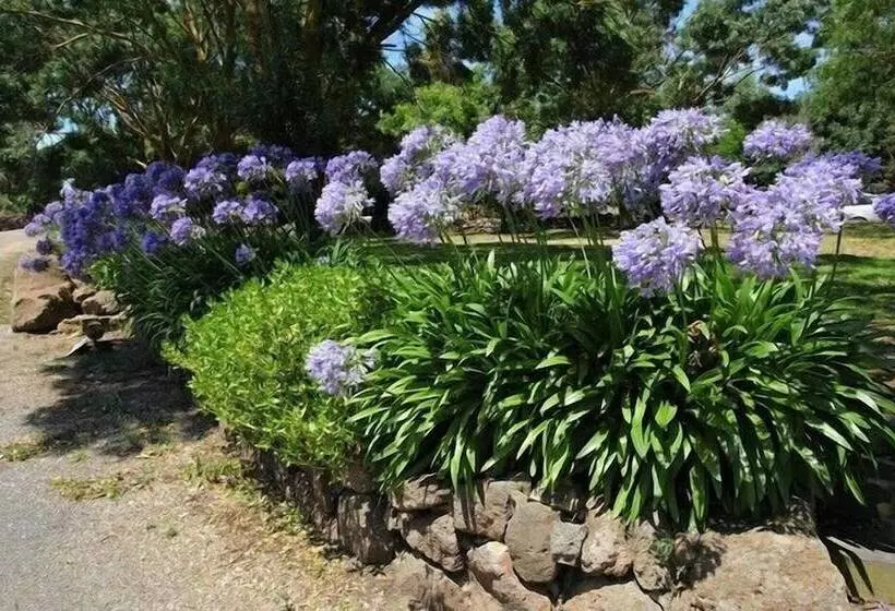 ベッドアンドブレックファースト Tuki Retreat