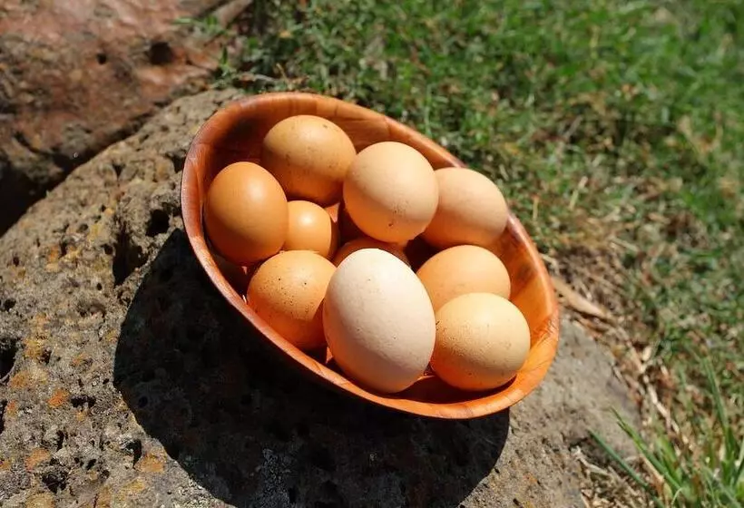 ベッドアンドブレックファースト Tuki Retreat