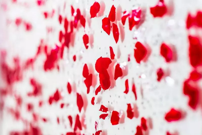 酒店 Kyriad Lyon Est Stadium Eurexpo Meyzieu