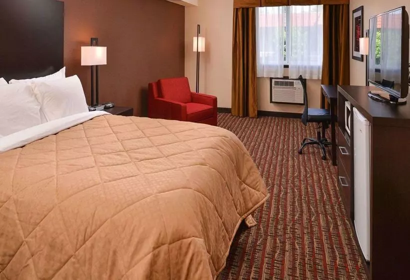 ホテル Quality Inn & Suites Tacoma  Seattle