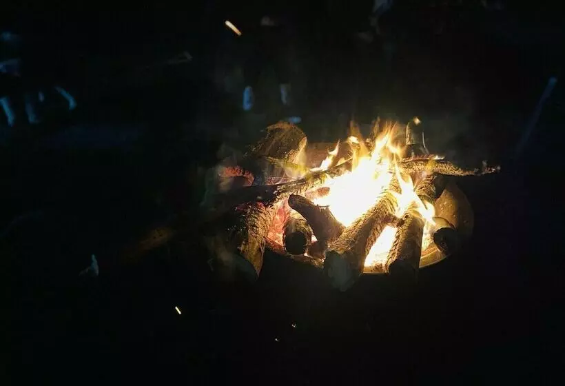 מוטל De Vine Escape