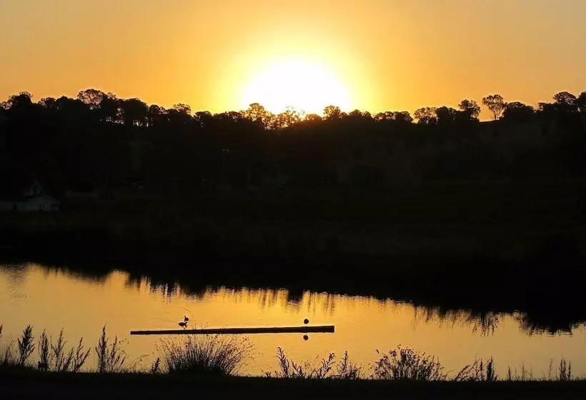 מוטל De Vine Escape