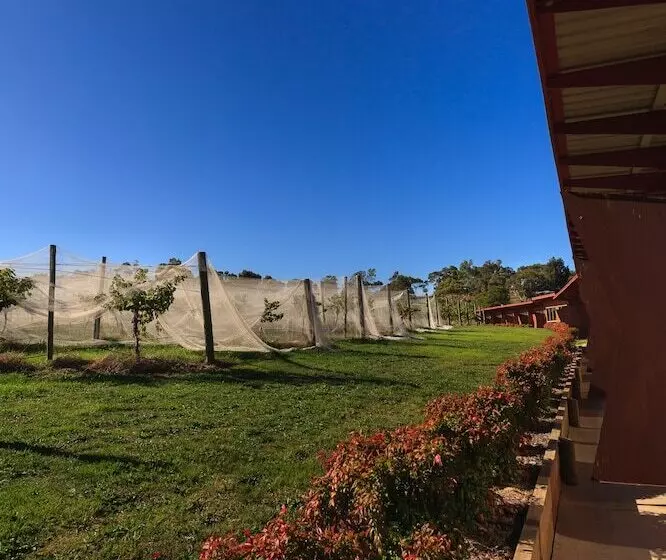 מוטל De Vine Escape