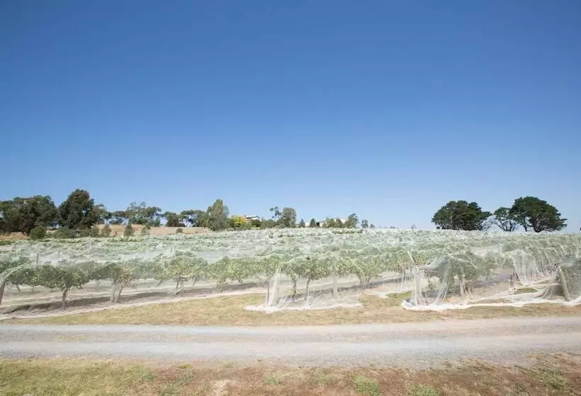 מוטל De Vine Escape