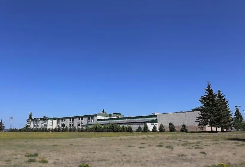 汽车旅馆  Tamarack Motor Inn