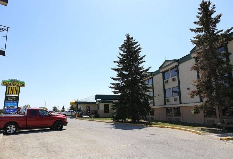 מוטל Tamarack Motor Inn