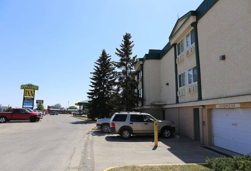 מוטל Tamarack Motor Inn