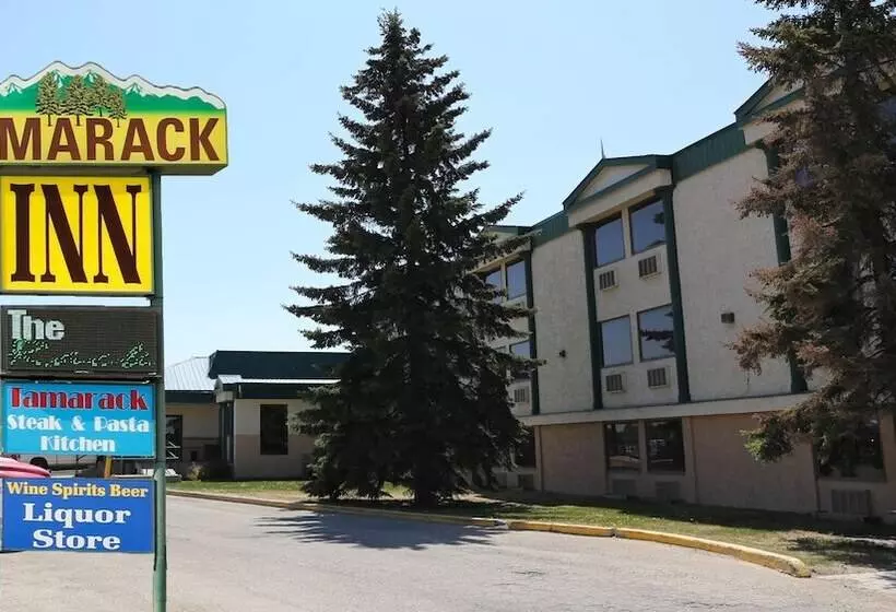 汽车旅馆  Tamarack Motor Inn