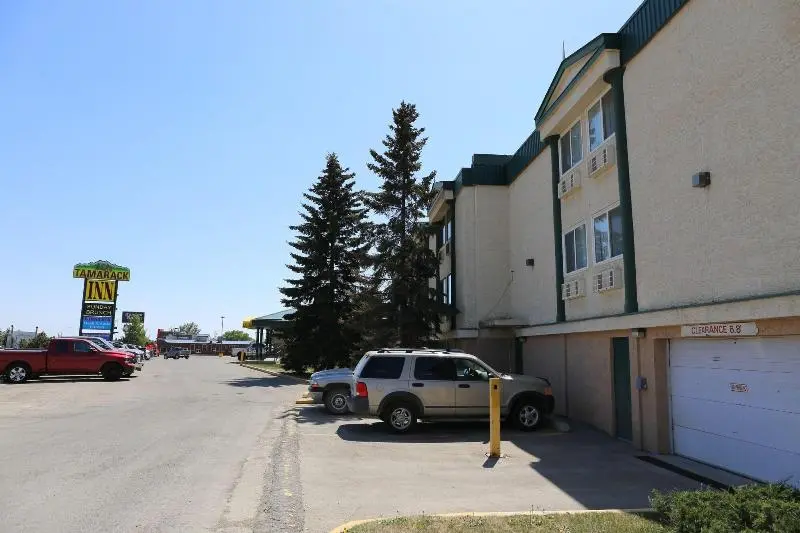 Motelli Tamarack Motor Inn