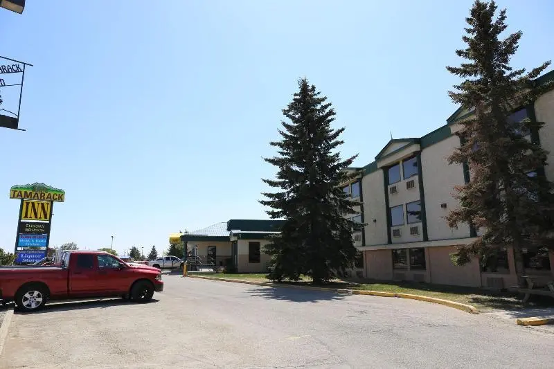 Motelli Tamarack Motor Inn