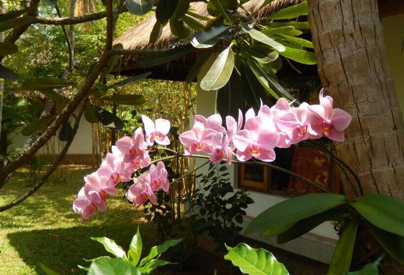 אתר נופש Neeleshwar Hermitage