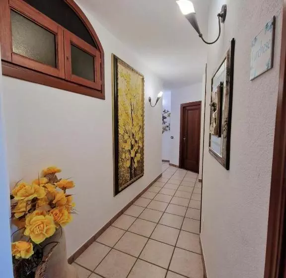 B&b Ametista