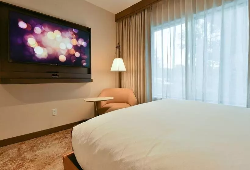 Hotelli Casitas At The Hoodoo Moab, Curio Collection By Hilton