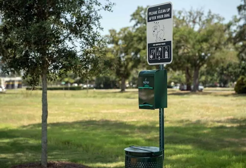 ホテル Hilton Garden Inn Pensacola Downtown