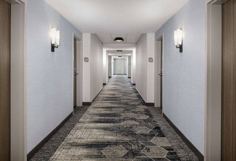 هتل Hilton Garden Inn Pensacola Downtown