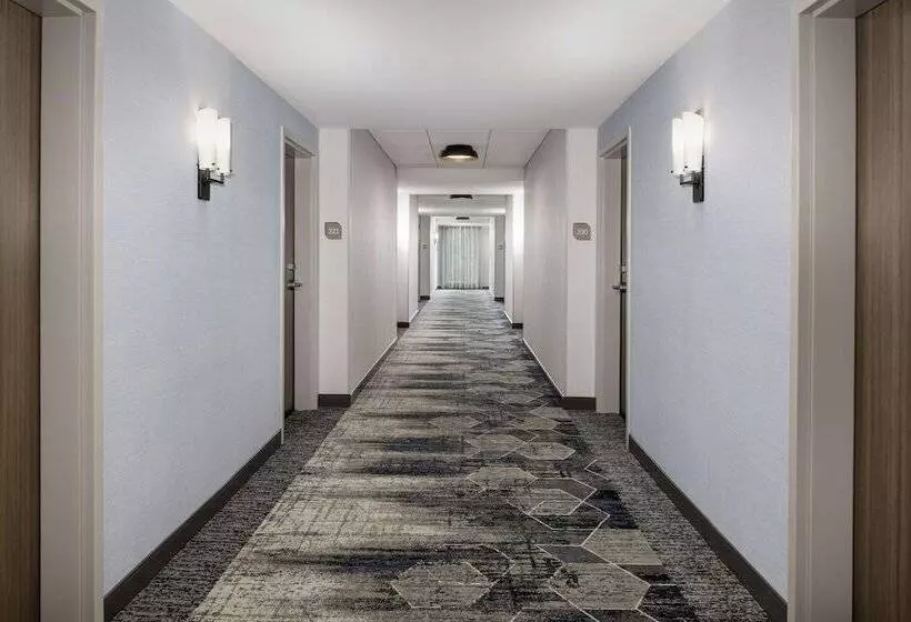 ホテル Hilton Garden Inn Pensacola Downtown