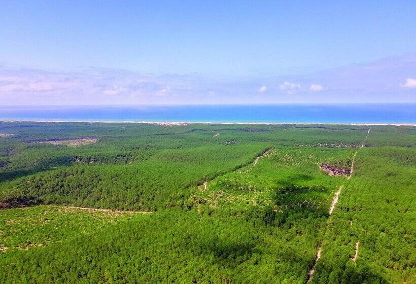 בית מלון כפרי Résidence Les Cavales