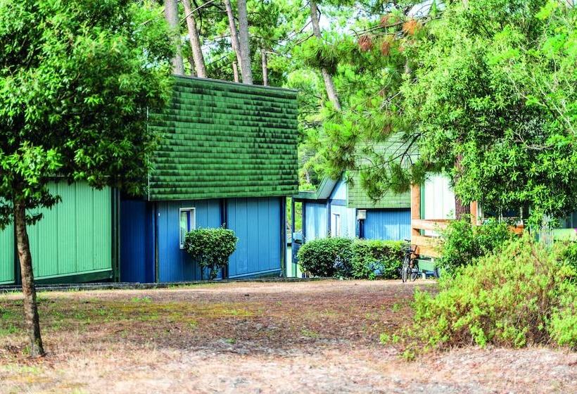 בית מלון כפרי Résidence Les Cavales