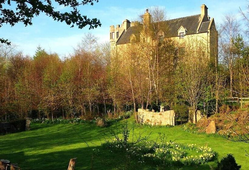 اقامتگاه The Manor At Plane Castle